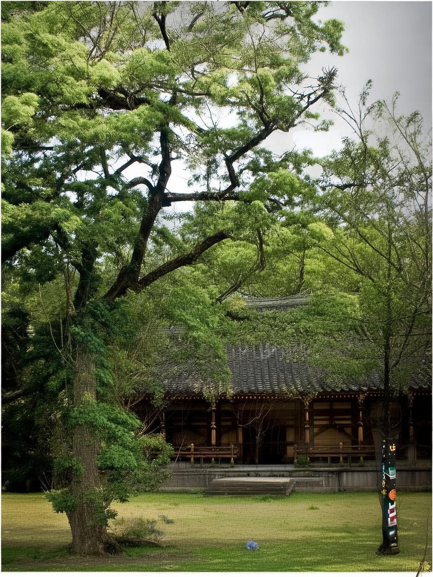 抖音涨粉的钱怎么退_退抖音涨粉费插图 抖音涨粉的钱怎么退_退抖音涨粉费插图